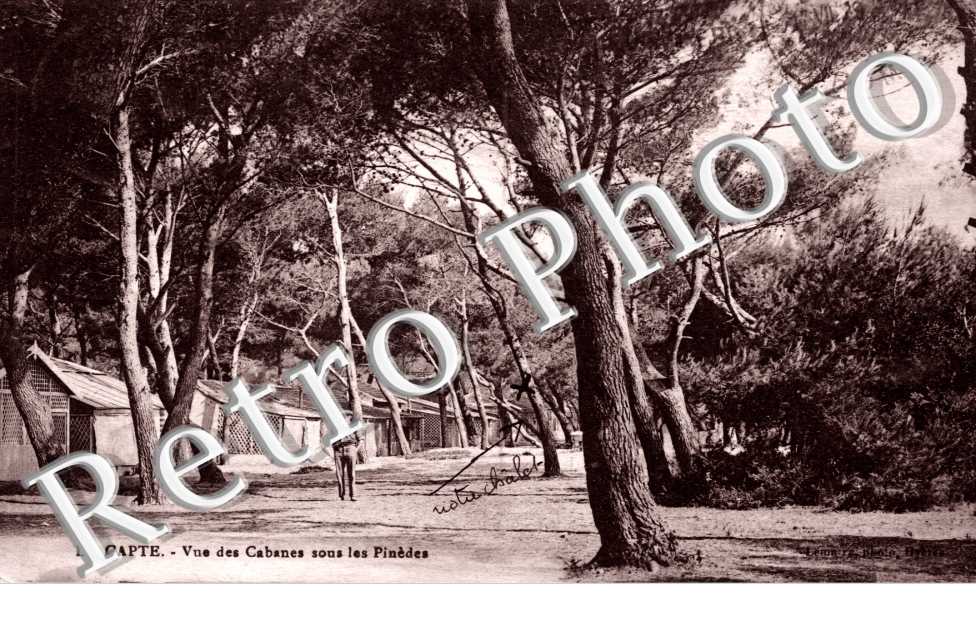 LA CAPTE.  - Vue des Cabanes sous les Pinedes