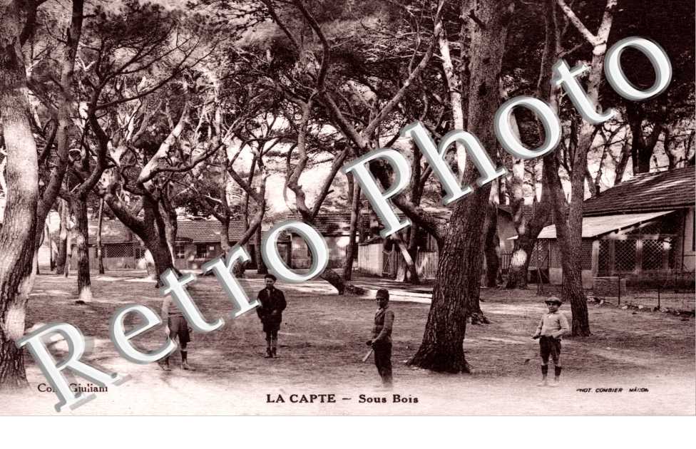 LA CAPTE.  - Sous Bois