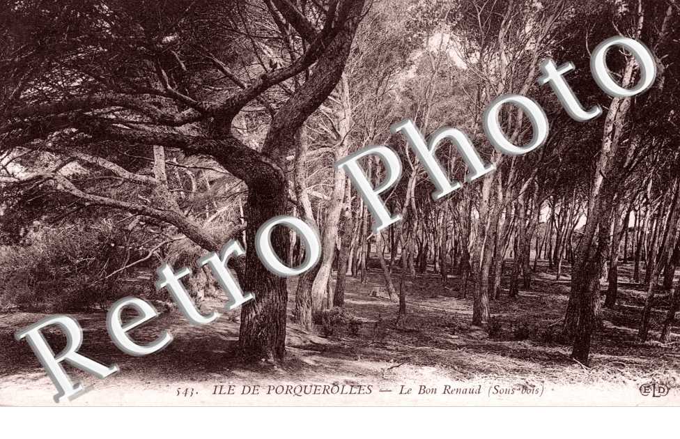 Le Bon Renaud
