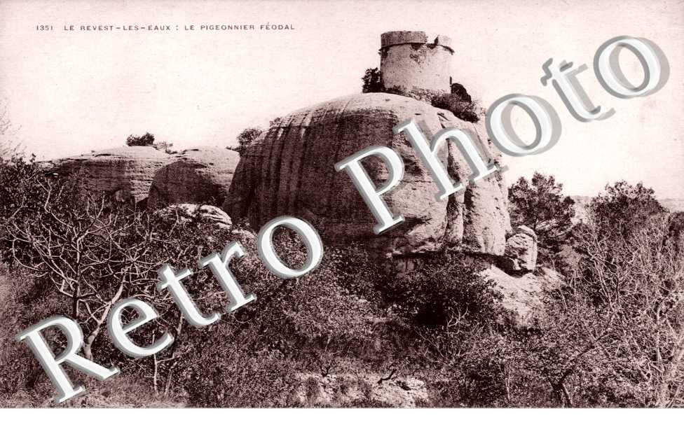 Le pigeonnier féodal