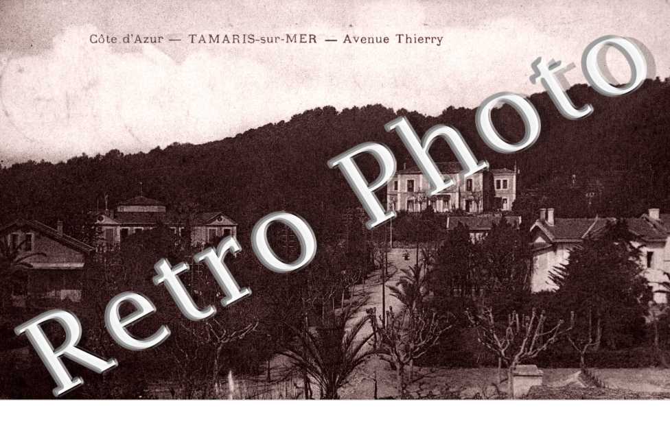 Avenue Thierry