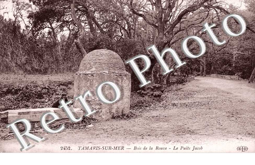 Bois de la Rouve, le Puits Jacob