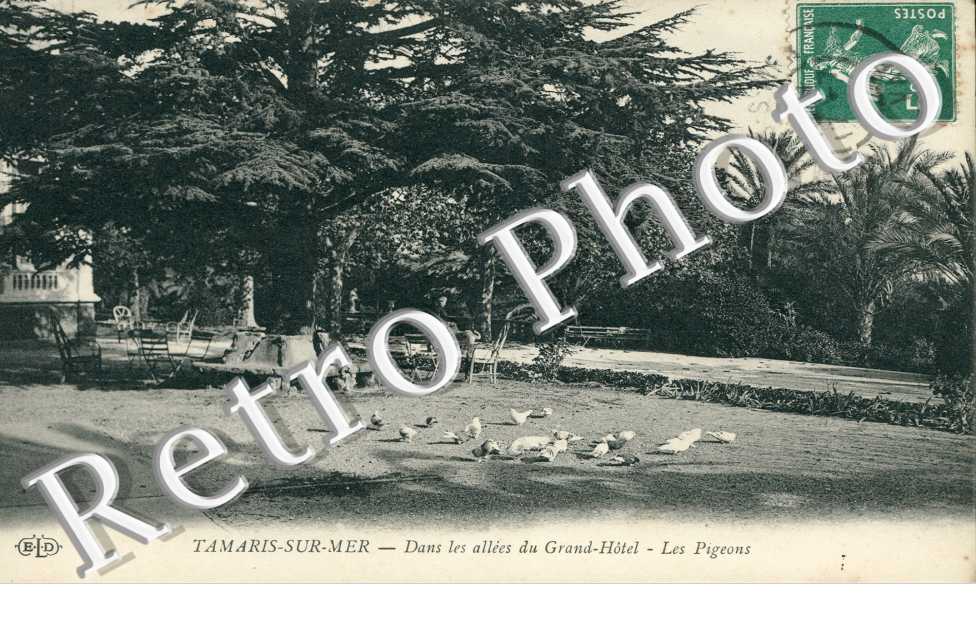 Dans les Allees du Grand Hotel, les Pigeons