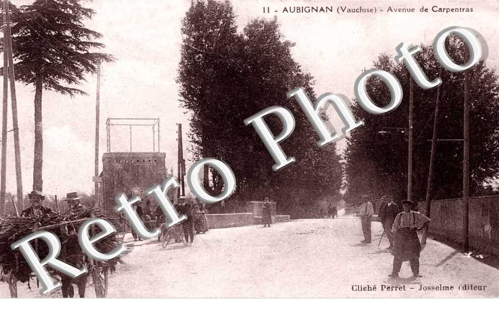 Avenue des Carpentras
