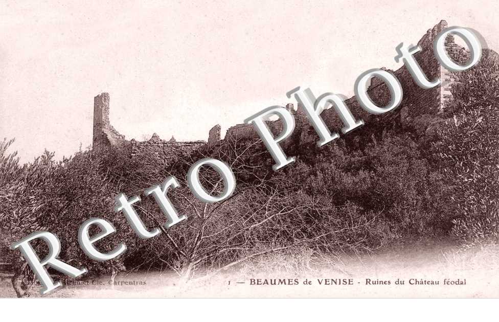 Ruines du Chateau Feodal