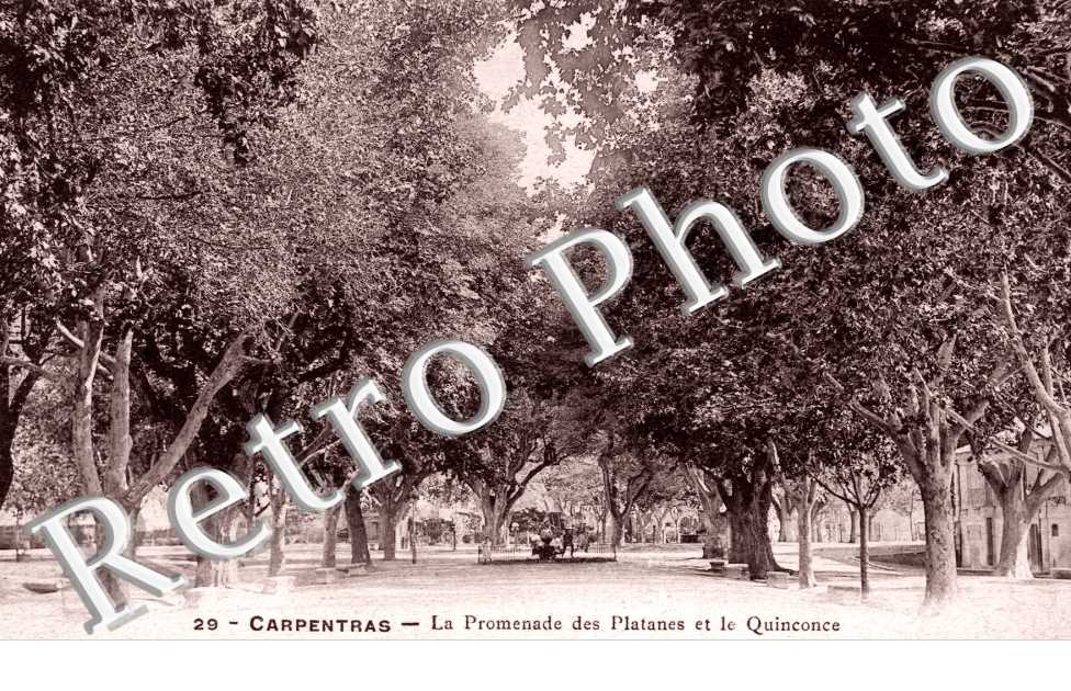 La Promenade des Platanes et le Quinconce