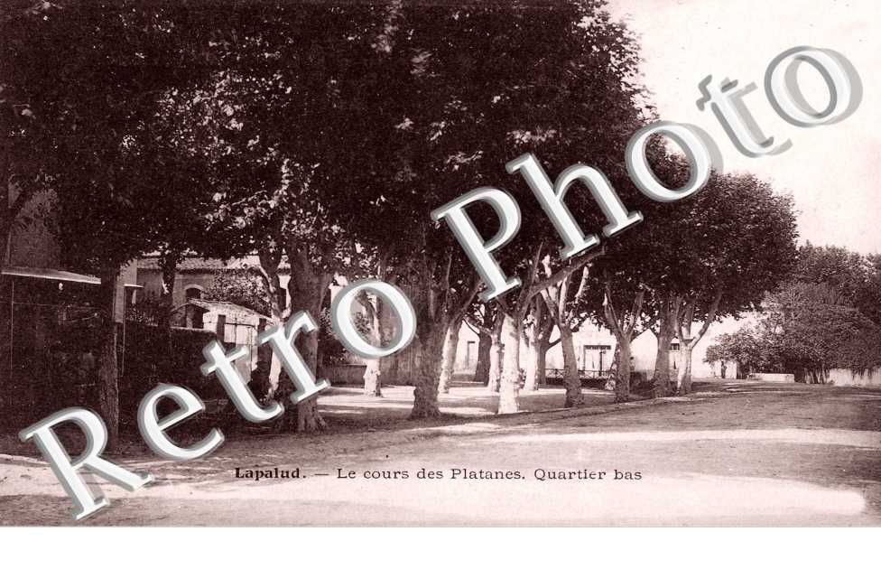 Le cours des platanes