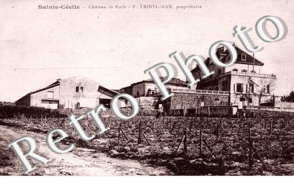 Chateau de Ruth - F. Trintignan - proprietaire