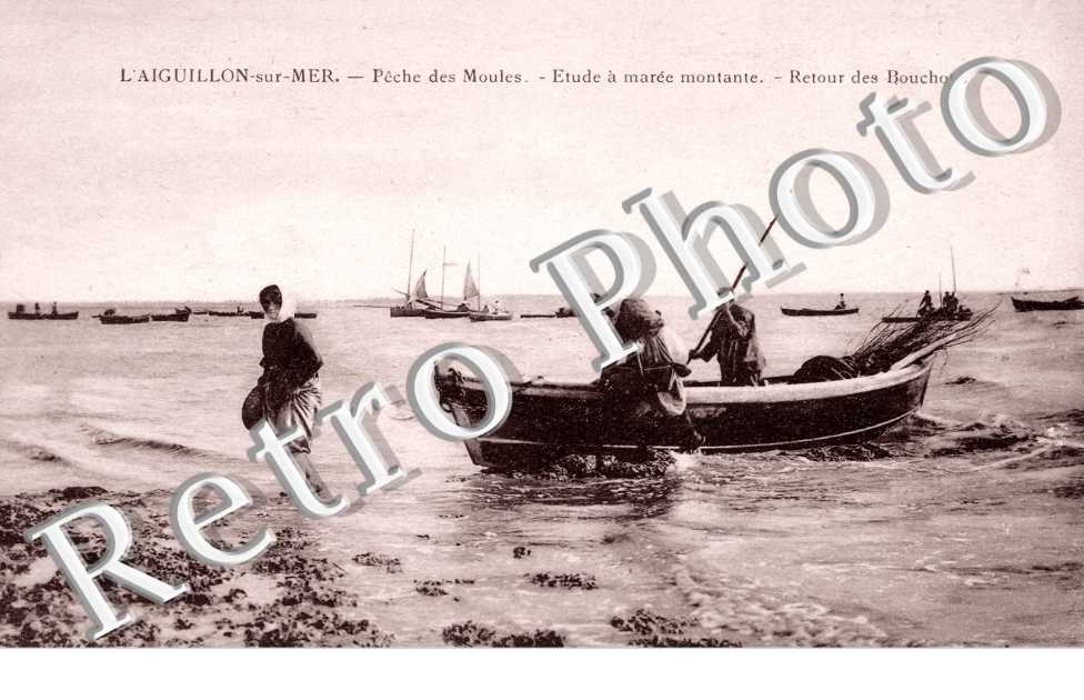 l'Aiguillon-sur-Mer, Peche des Moules, Etude a Maree Montante, Retour des Bouchots