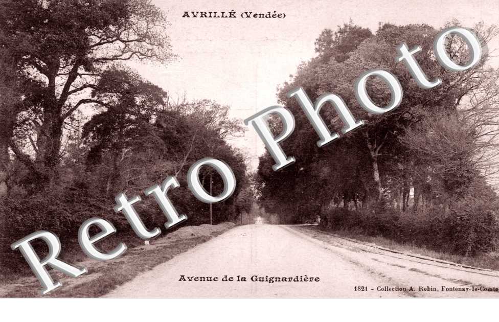 Avenue de la Guignardiere