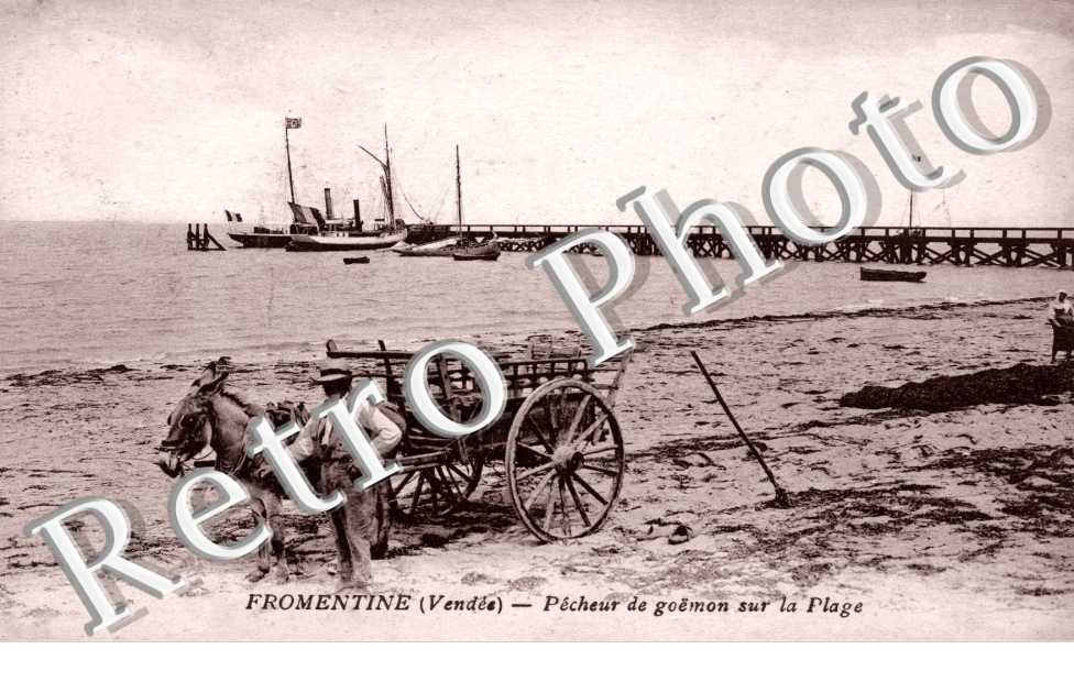 FROMENTINE Pecheur de goëmon sur la plage