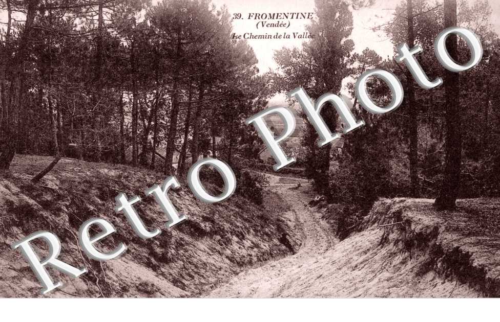 Fromentine, le Chemin de la Vallee