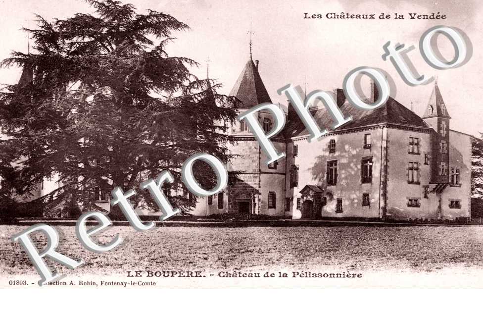 Chateaux de la vendee
