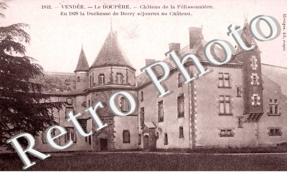 Chateau de la Pelissonniere
