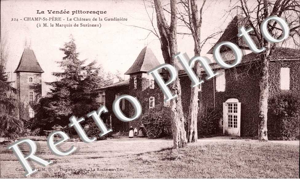 le Chateau de la Gaudiniere
