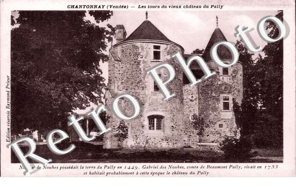 Les Tours du Vieux Chateau du Pailly