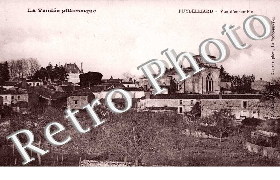 Puybelliard, Vue d'Ensemble