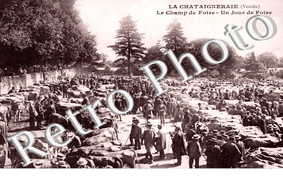 le champ de foire
