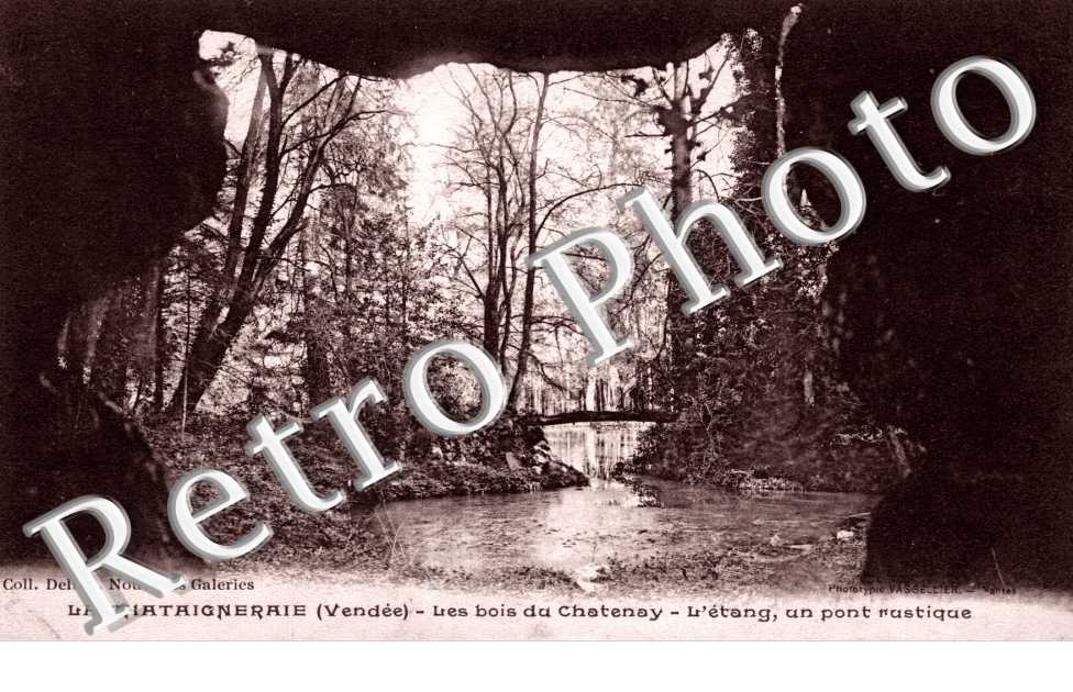 les bois de Chatenay - l'etang, un pont rustique