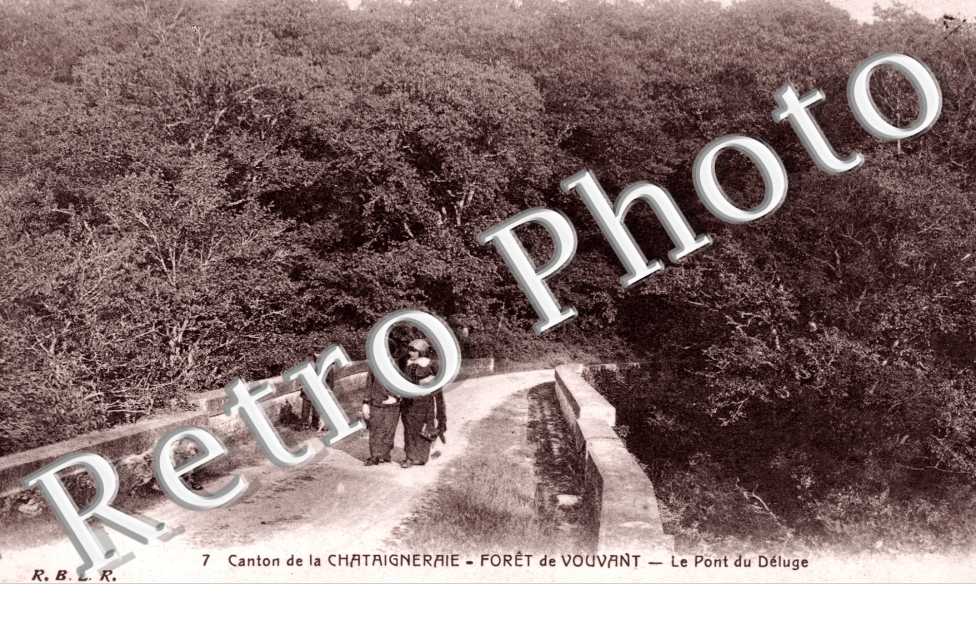 Foret de Vouvant, le Pont du Deluge