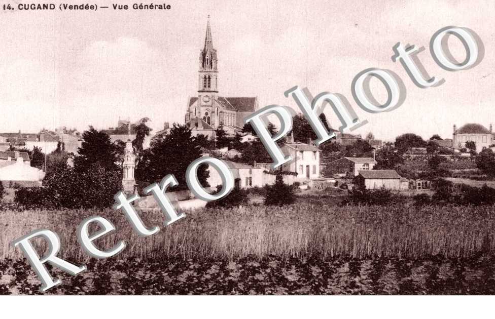 Vue generale