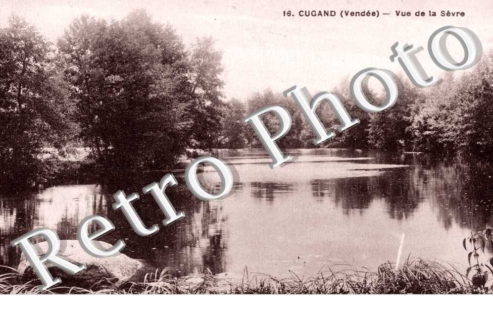 Vue de la Sevre