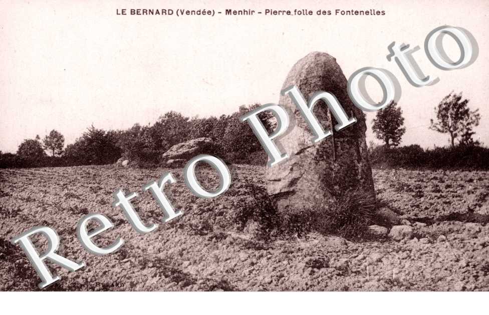 Le Bernard  Menhir  Pierre folle des Fontenelles
