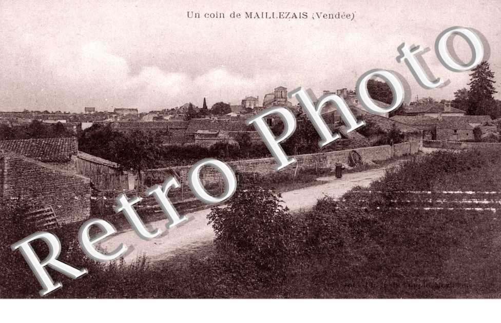 Vue d'Ensemble