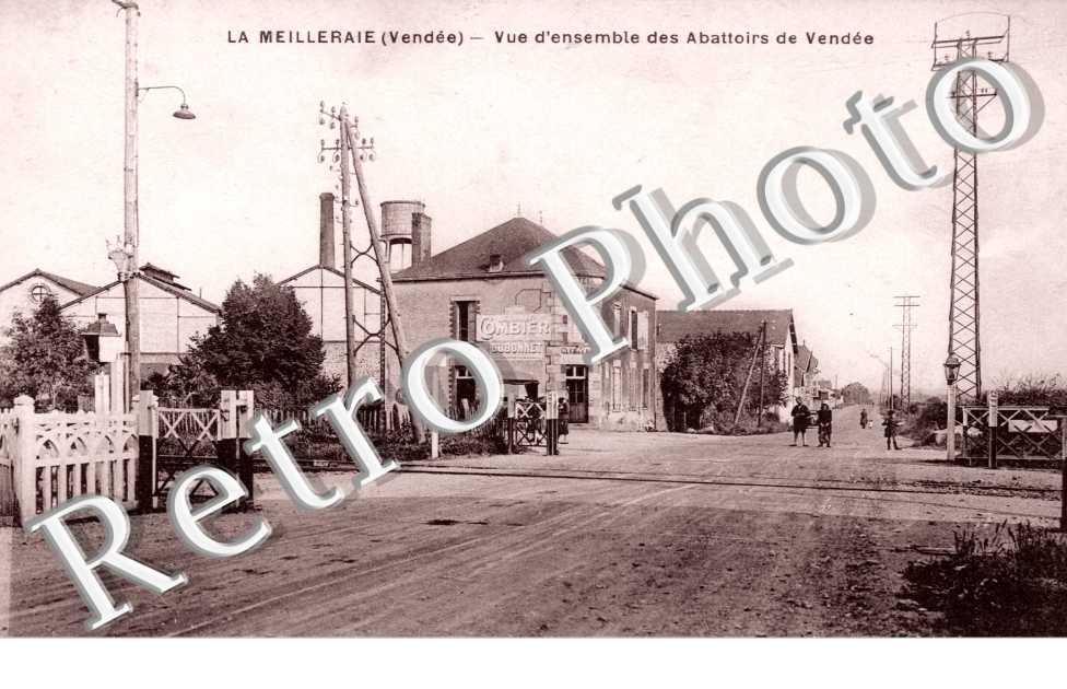 Vue d'Ensemble des Abattoirs de Vendee
