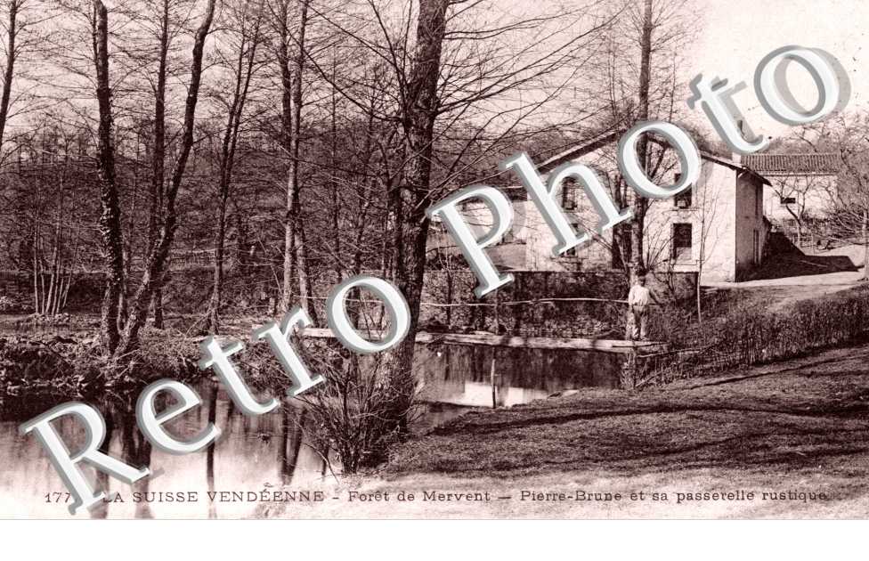 Foret, Pierre Brune et sa Passerelle rustique