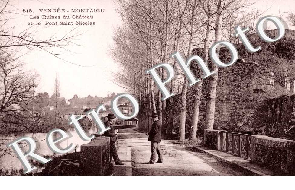 les Ruines du Chateau et le Pont Saint-Nicolas