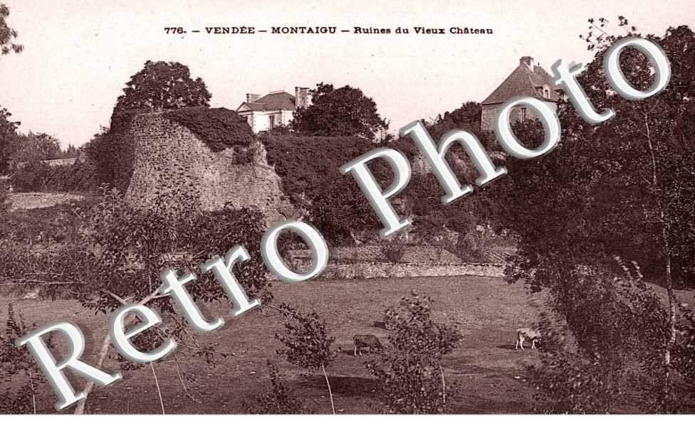 Ruines du Vieux Chateau