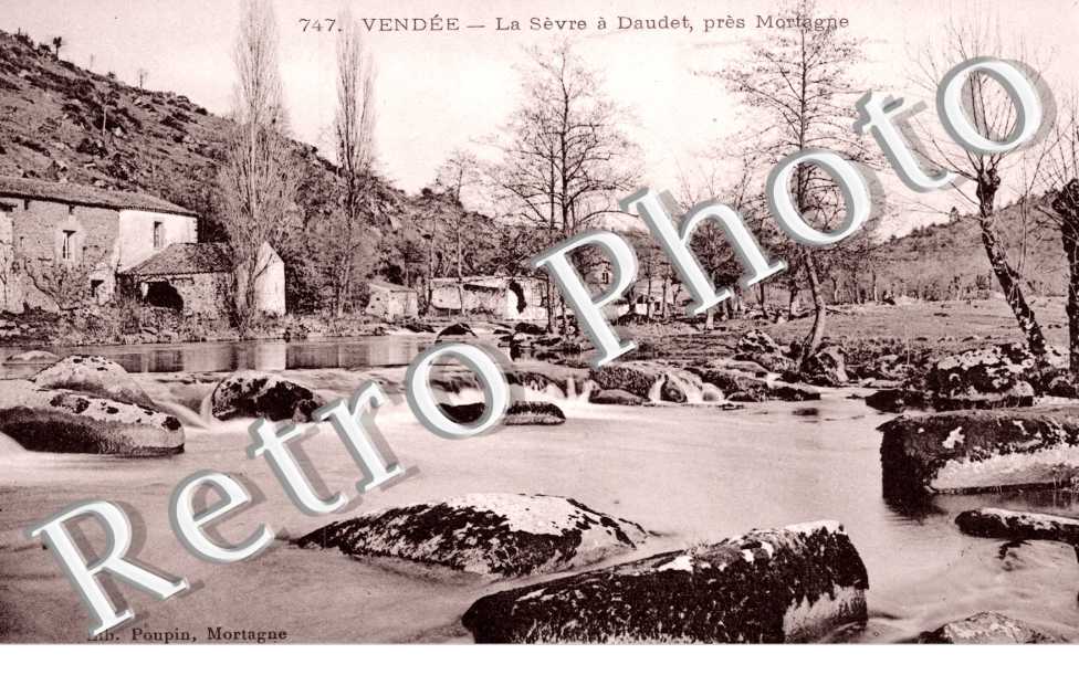 La Sevre a Daudet
