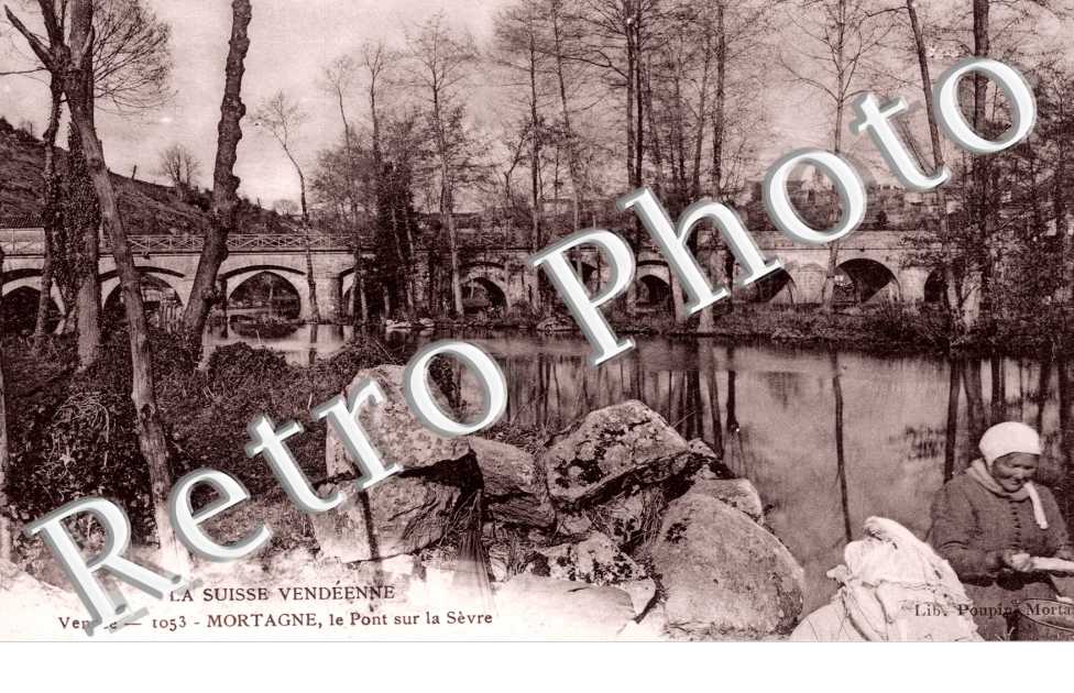 le Pont sur la Sevre