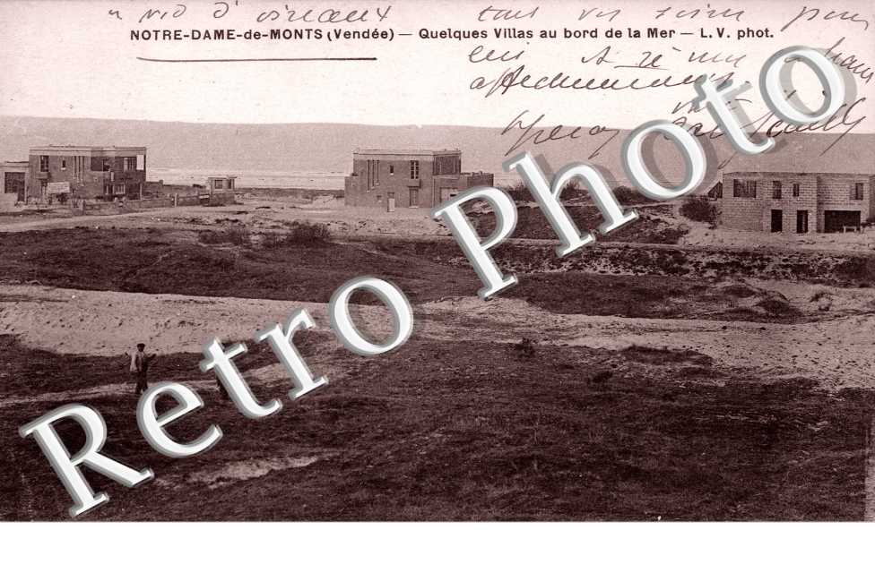 Quelques villas au bord de la mer