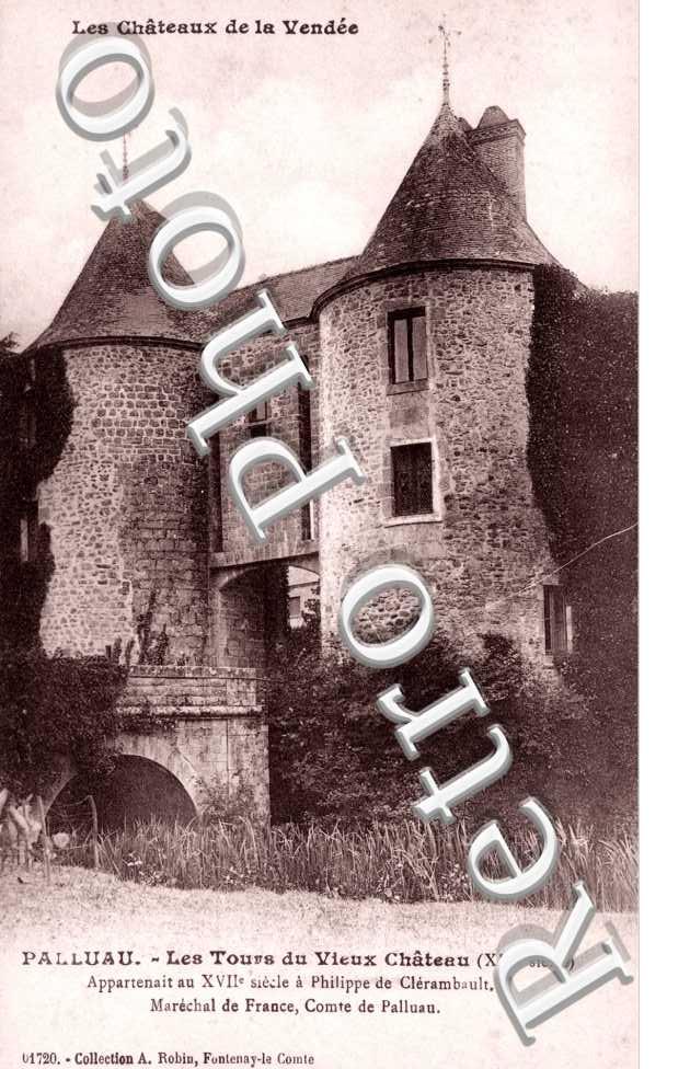Les tours du vieux chateau. Appartenait a Philippe de Clerambault. Marechal de France, Comte de Palluau