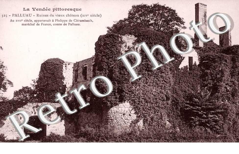 Ruines du vieux chateau
