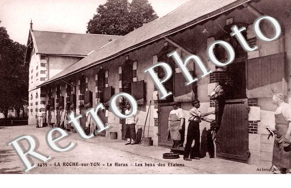 le Haras, les Box des Etalons