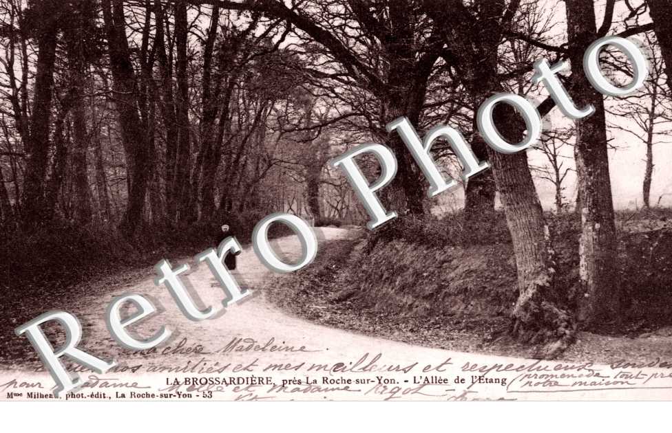La Brossardiere, l'Allee de l'Etang