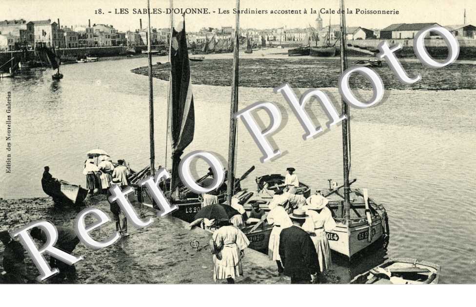 les sardiniers accostent a la cale de la poissonnerie