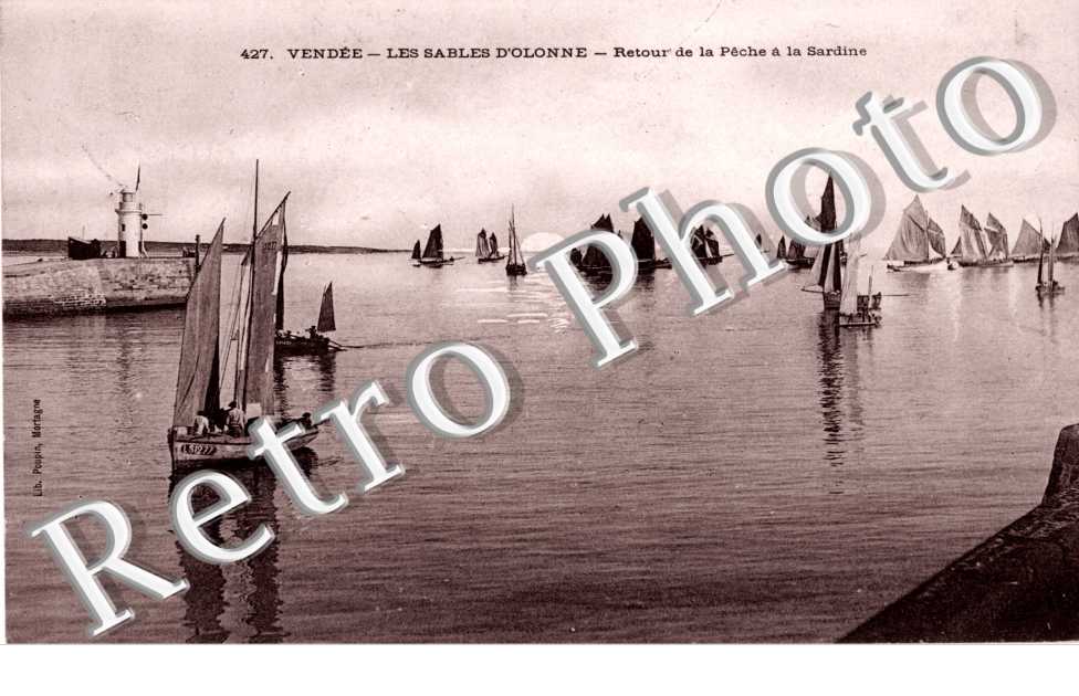 Retour de la peche a la sardine