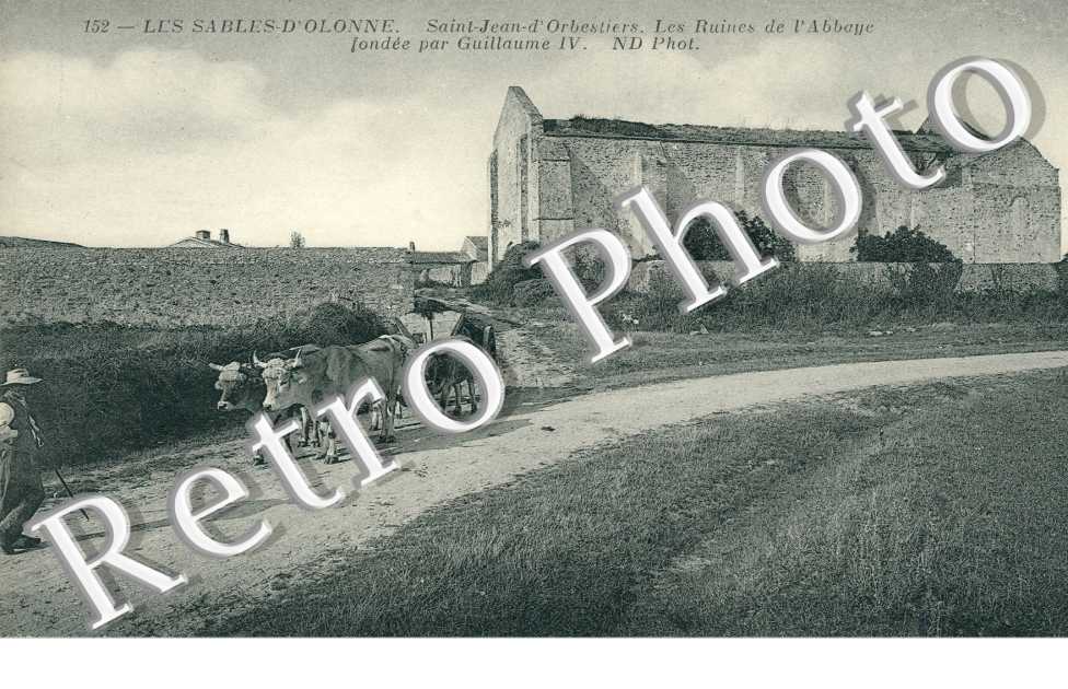 Saint Jean d'orbestiers - Ruines de l'Abbaye