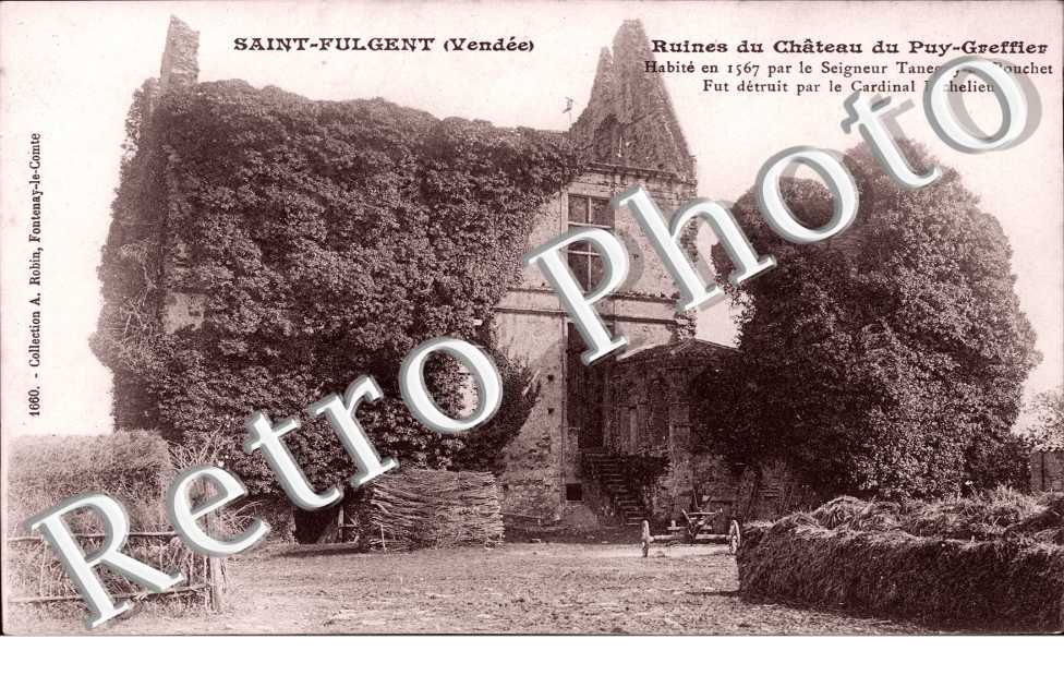 Ruines du Chateau du Puy Greffier