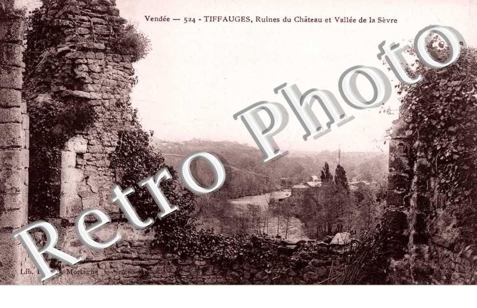 Ruines du chateau