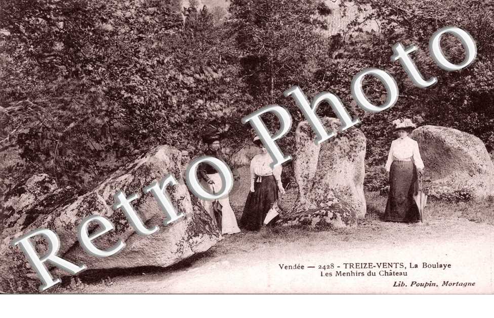 la Boulaye, les Menhirs du Chateau