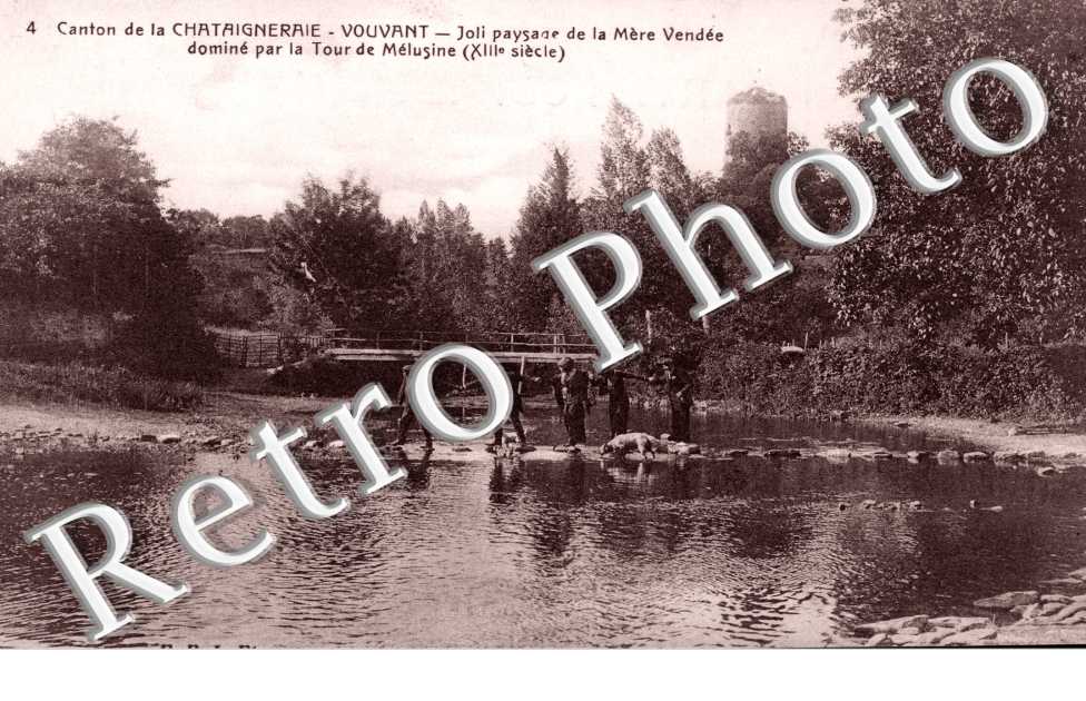joli paysage de la Mere Vendee