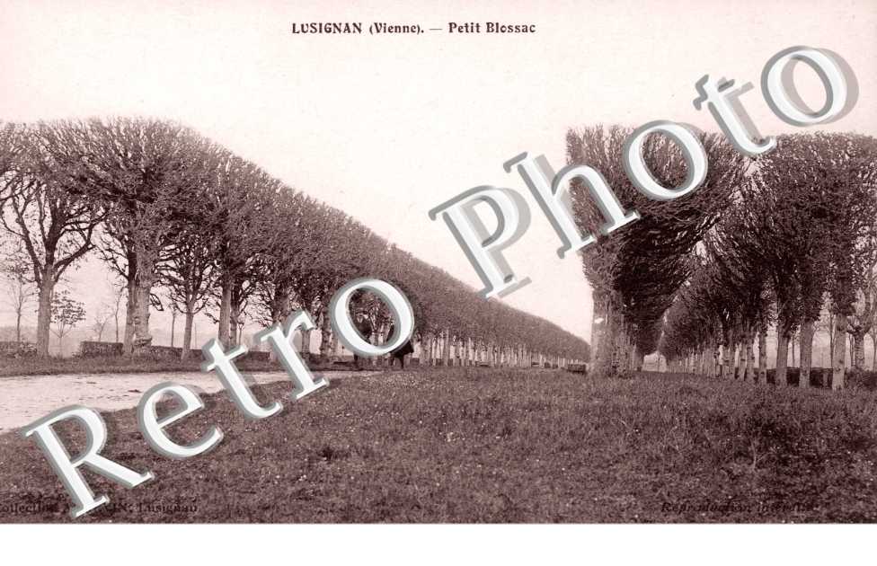 Petit Blossac