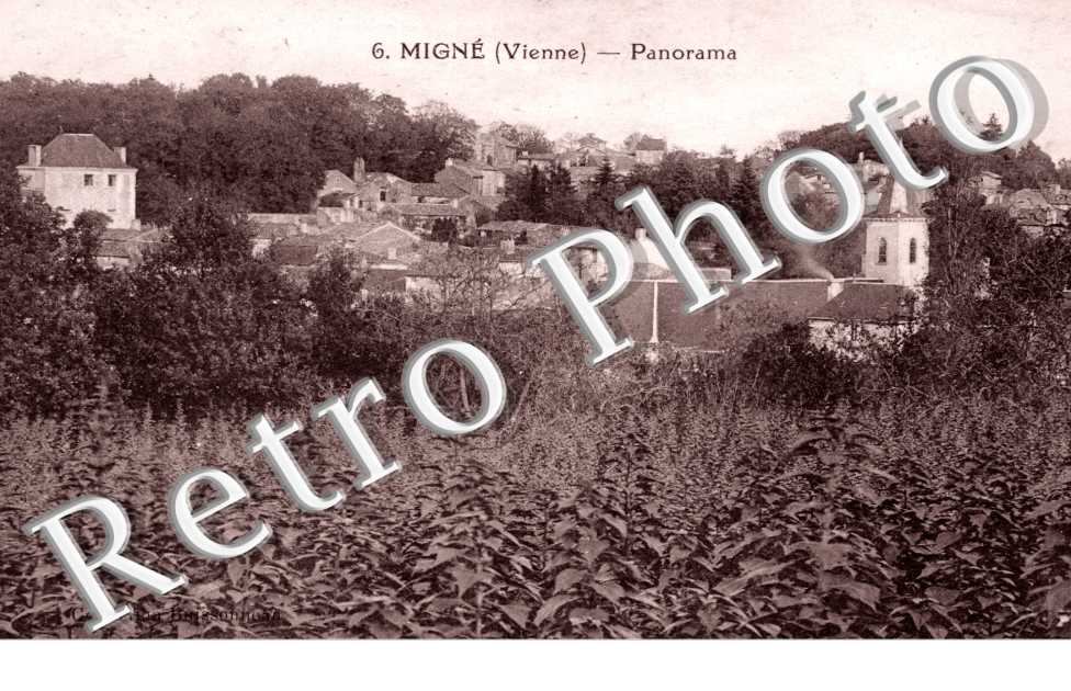 Panorama