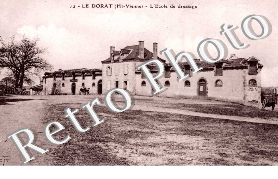 l'ecole de dressage