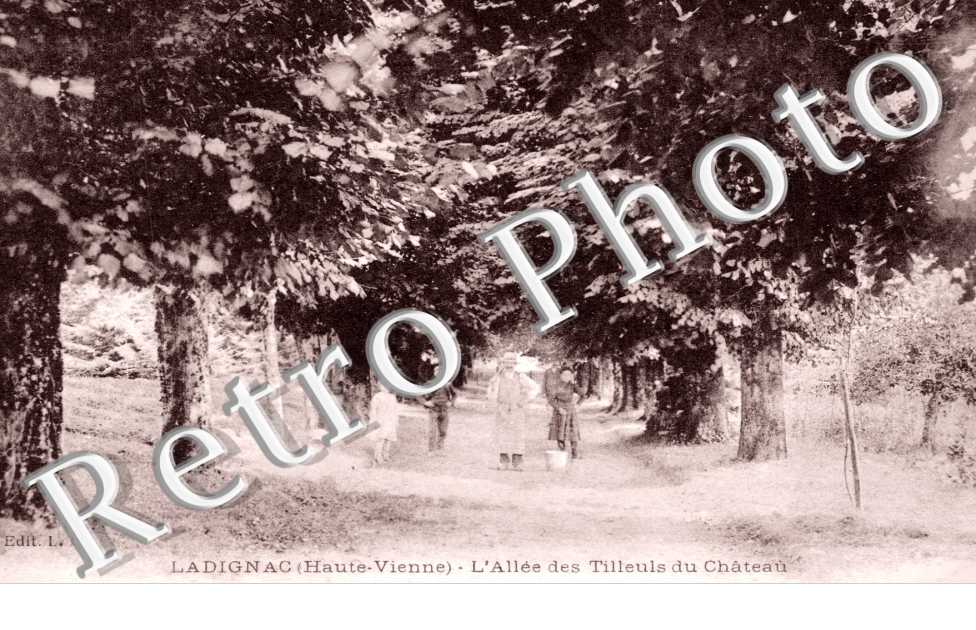 Ladignac, l'Allee des Tilleuls du Chateau